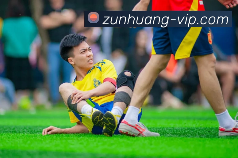 尊皇国际VIPAPP 封面图